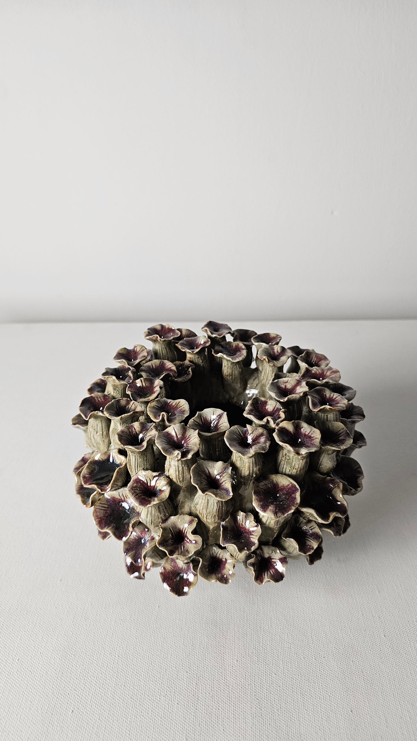 Velvet Petal Reef