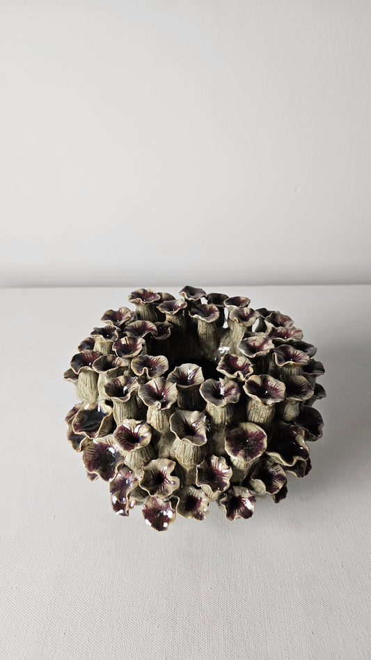 Velvet Petal Reef