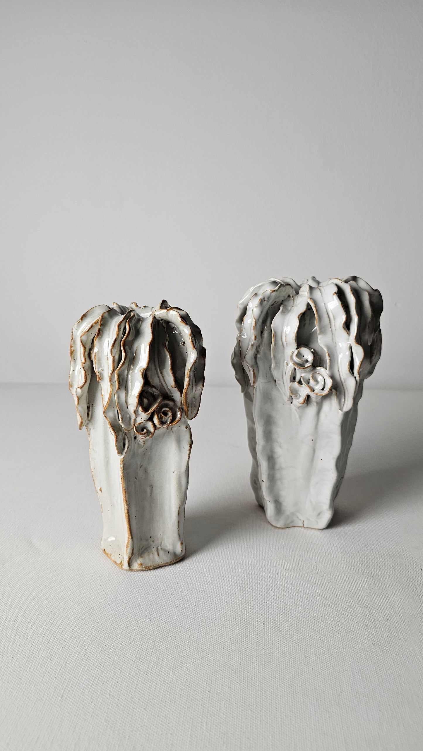 White Coral Drift