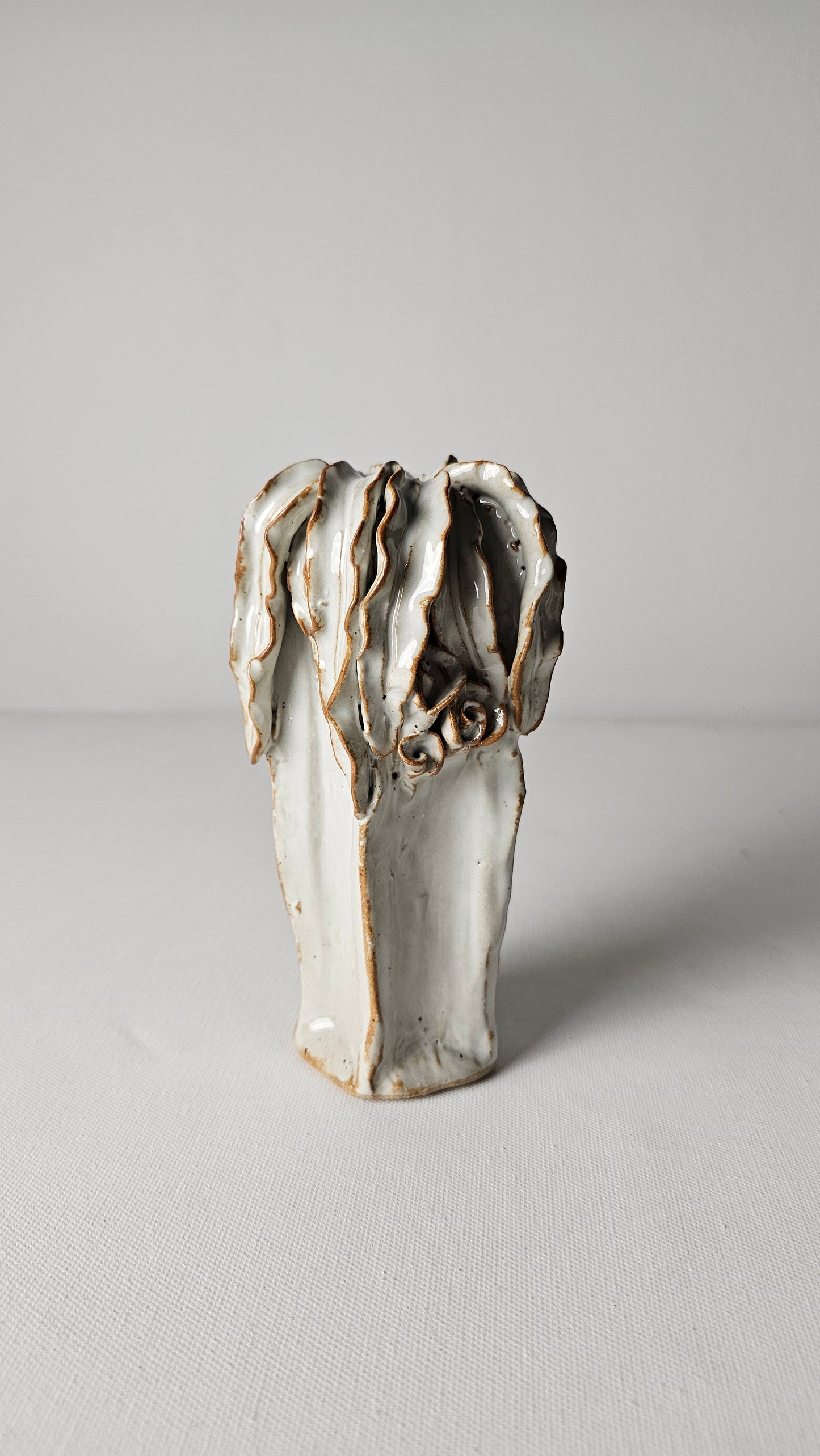 White Coral Drift