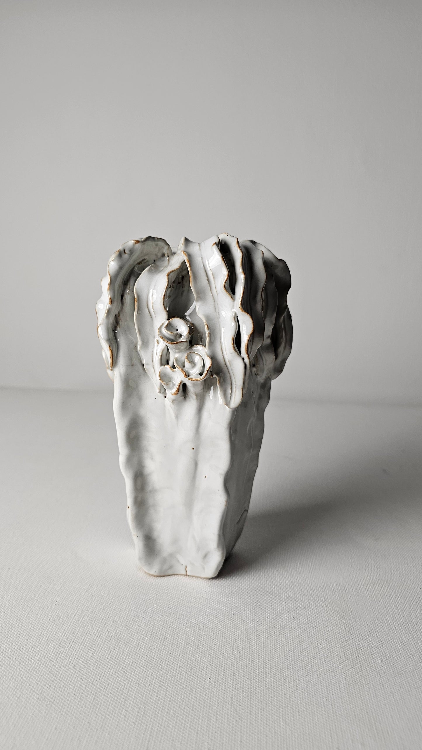 White Coral Drift