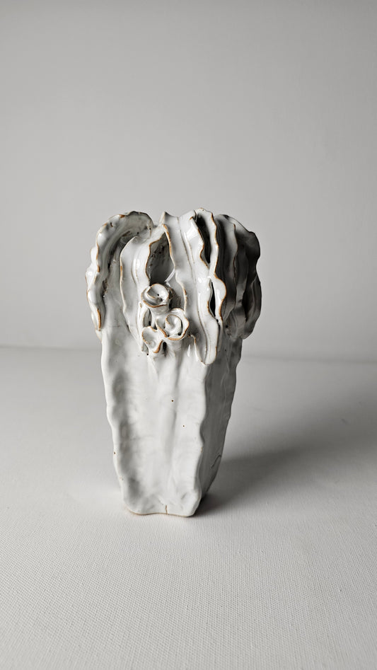 White Coral Drift