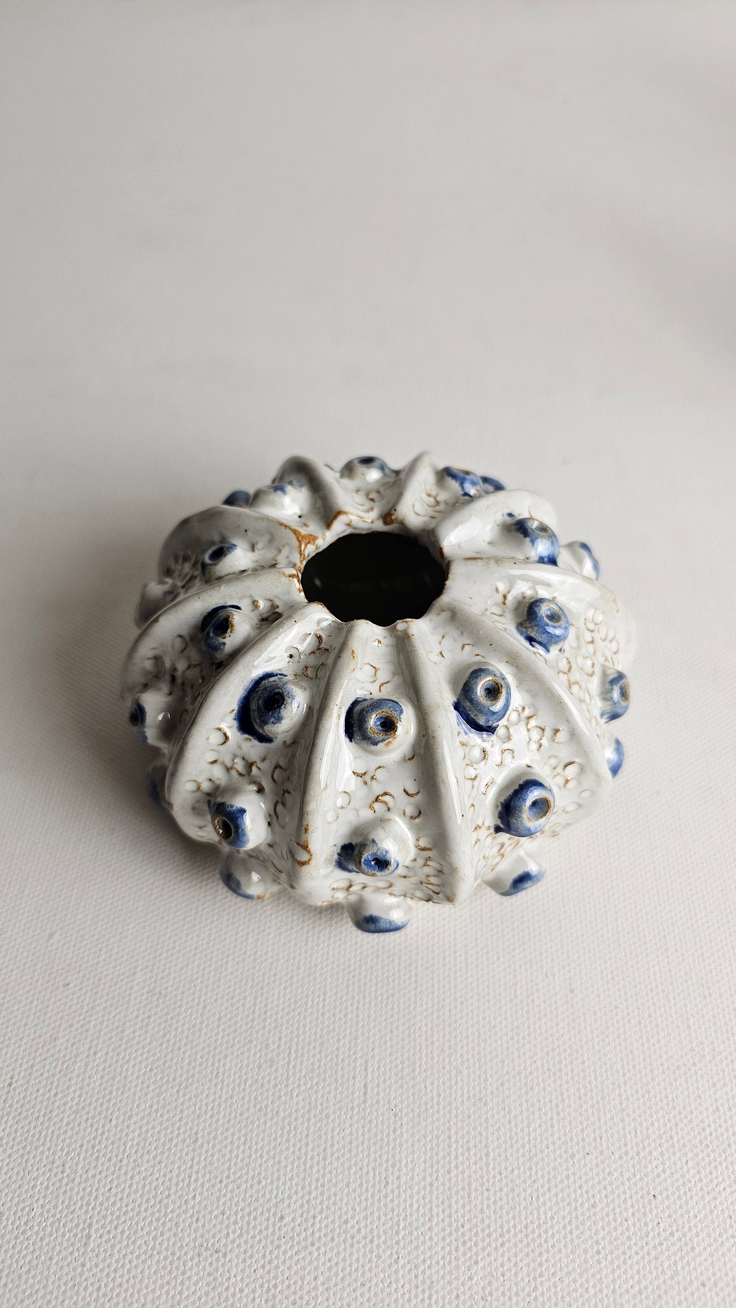 Coastal Charm White-Blue sea Urchin Vase