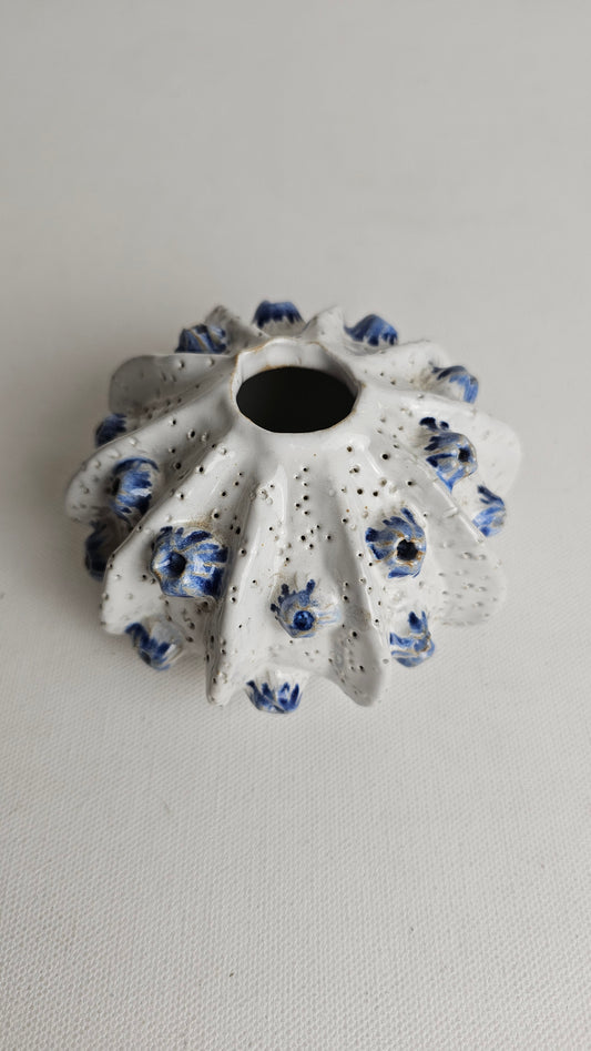 Coastal Charm White-Blue sea Urchin Vase (B)