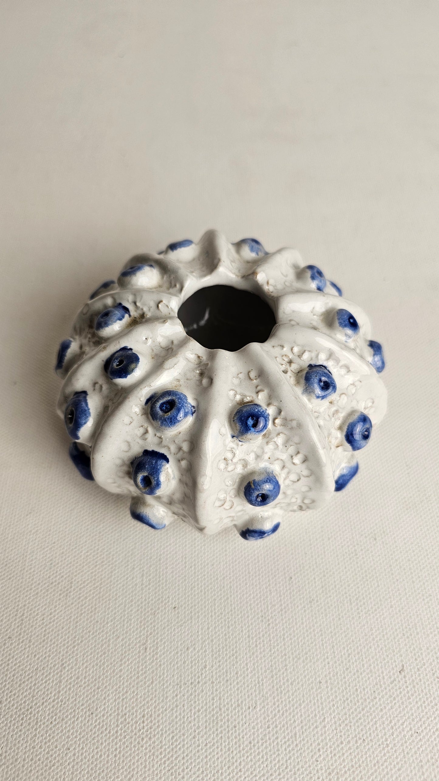 Coastal Charm White-Blue sea Urchin Vase (C)