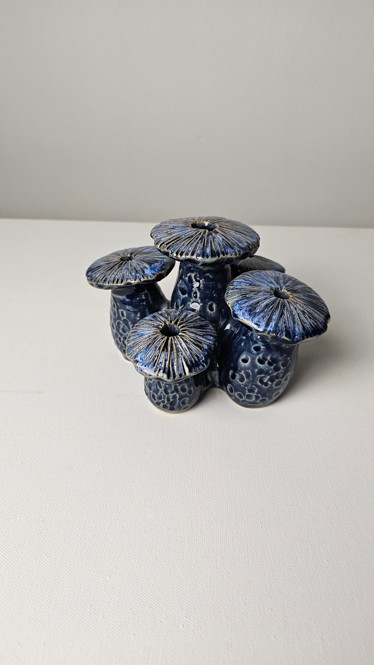 Atlantis Midnight Blue Toadstools