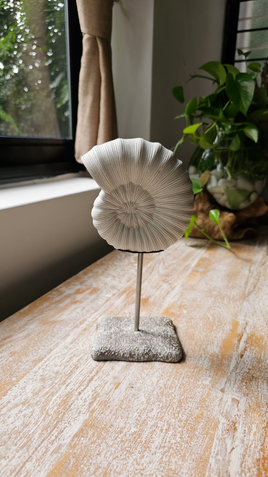 Shell Shape Stand The Shell Stand - Small – chomcharm