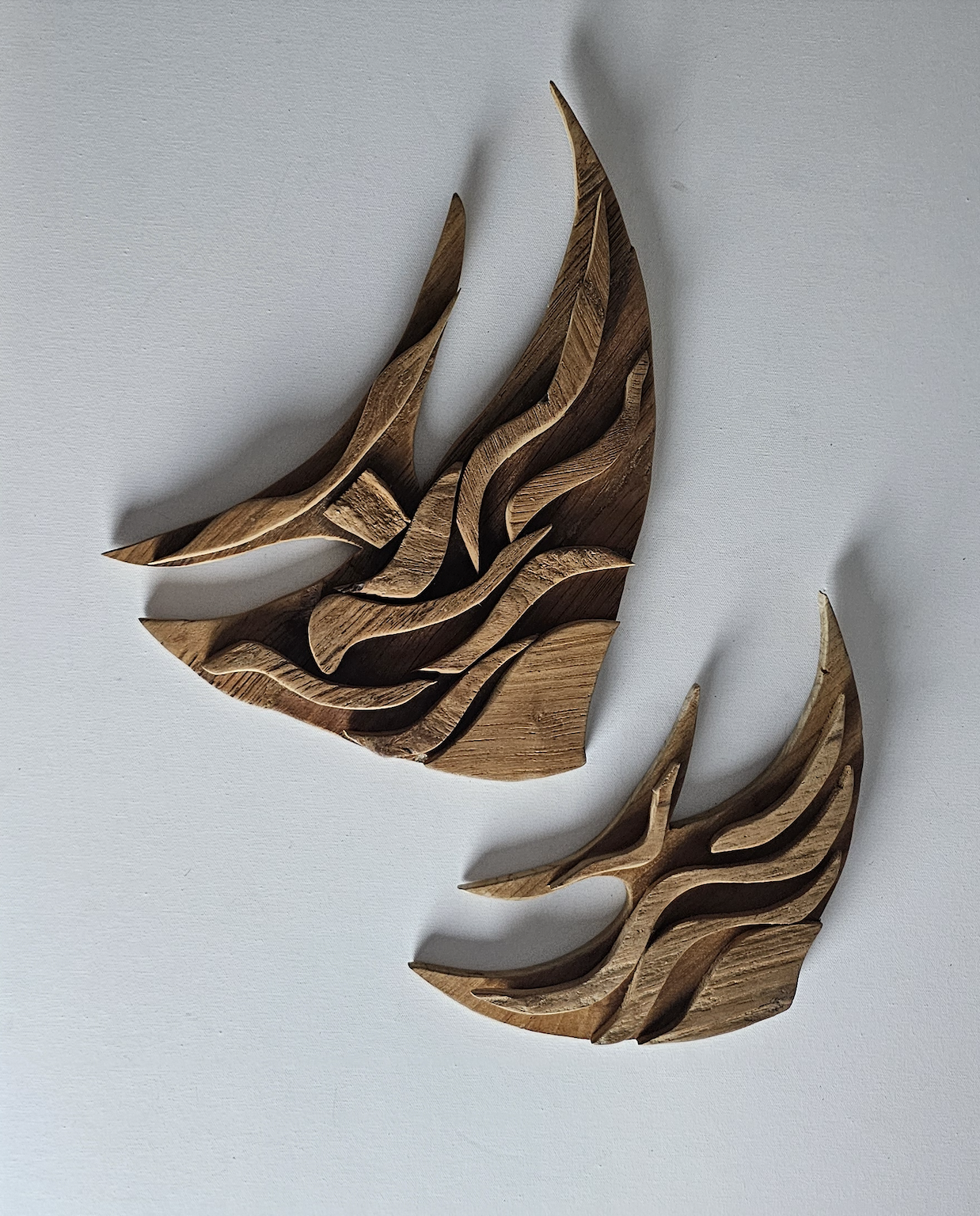 TEAK FISH - Medium & Large